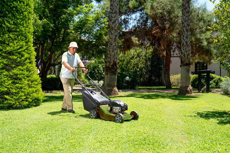 best budget mower